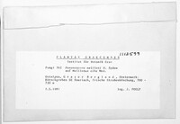 Image Associated With the Occurence